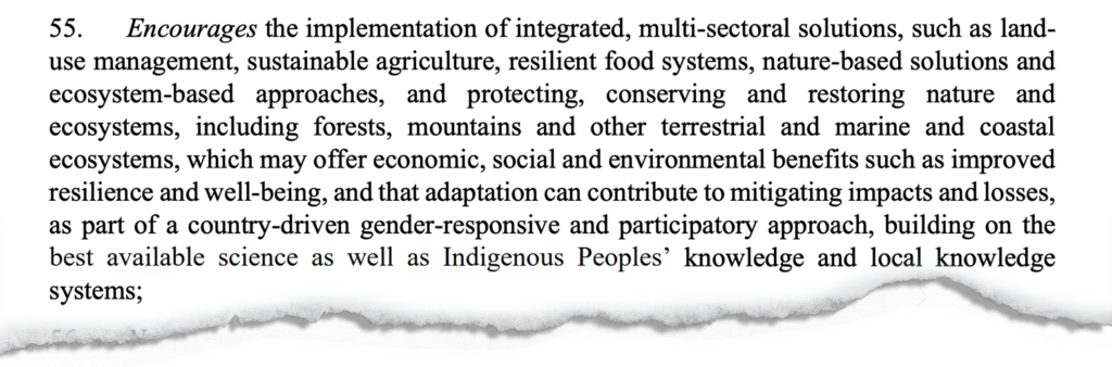 Section 55 of the first global stocktake text finalised at the COP28 climate talks in Dubai. 